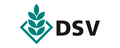 DSV